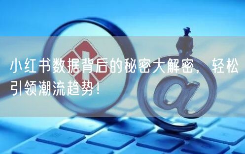 小红书数据背后的秘密大解密，轻松引领潮流趋势！