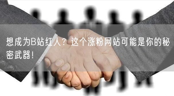 想成为B站红人？这个涨粉网站可能是你的秘密武器！