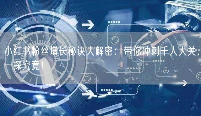 小红书粉丝增长秘诀大解密：带你冲刺千人大关，一探究竟！