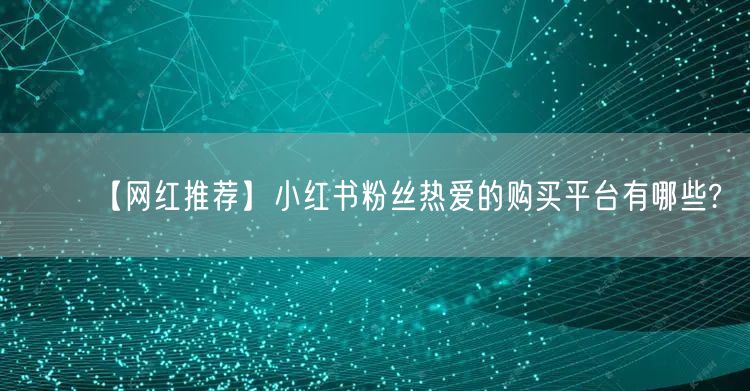 【网红推荐】小红书粉丝热爱的购买平台有哪些?