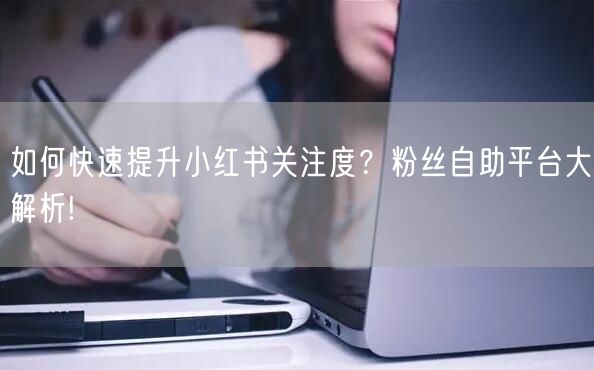 如何快速提升小红书关注度？粉丝自助平台大解析!