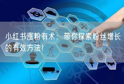 小红书涨粉有术：带你探索粉丝增长的有效方法！