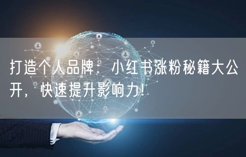 打造个人品牌：小红书涨粉秘籍大公开，快速提升影响力！