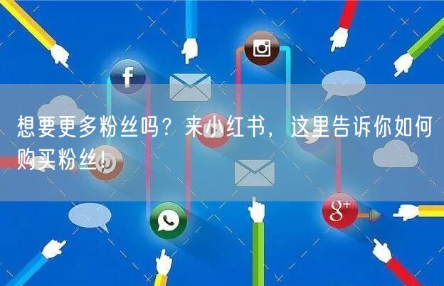 想要更多粉丝吗？来小红书，这里告诉你如何购买粉丝！