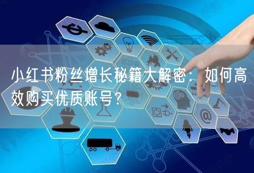 小红书粉丝增长秘籍大解密：如何高效购买优质账号？