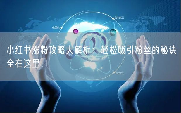 小红书涨粉攻略大解析：轻松吸引粉丝的秘诀全在这里！
