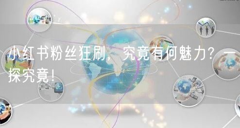 小红书粉丝狂刷，究竟有何魅力？一探究竟！