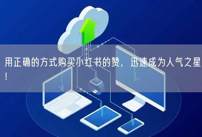 用正确的方式购买小红书的赞，迅速成为人气之星！