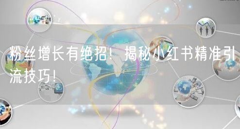 粉丝增长有绝招！揭秘小红书精准引流技巧！