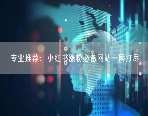 专业推荐：小红书涨粉必备网站一网打尽