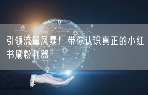 引领流量风暴！带你认识真正的小红书刷粉利器