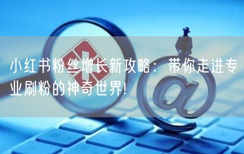 小红书粉丝增长新攻略：带你走进专业刷粉的神奇世界!
