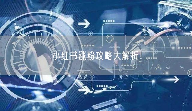 小红书涨粉攻略大解析！