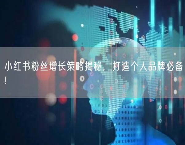 小红书粉丝增长策略揭秘，打造个人品牌必备!
