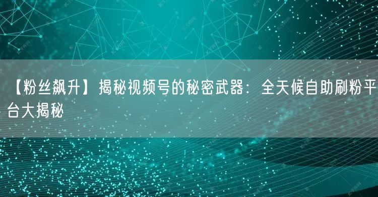 【粉丝飙升】揭秘视频号的秘密武器：全天候自助刷粉平台大揭秘