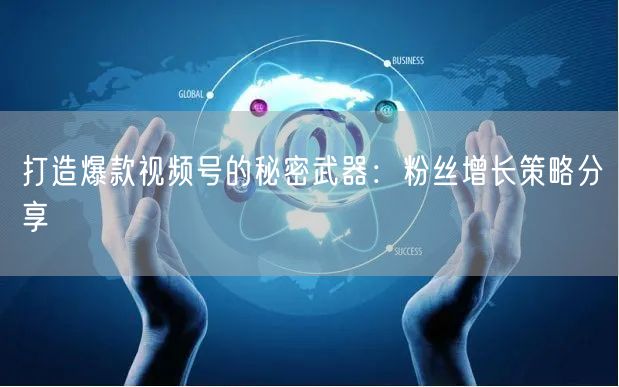 打造爆款视频号的秘密武器：粉丝增长策略分享