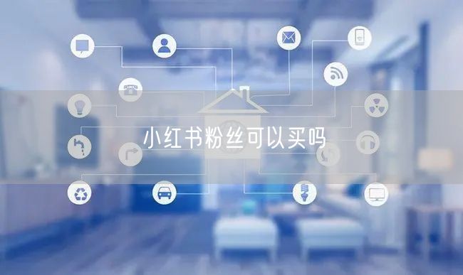 小红书粉丝可以买吗
