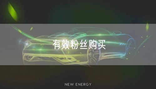 有效粉丝购买