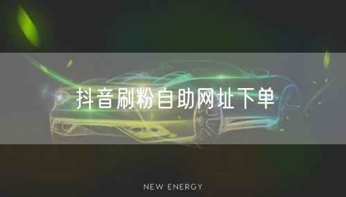 抖音刷粉自助网址下单