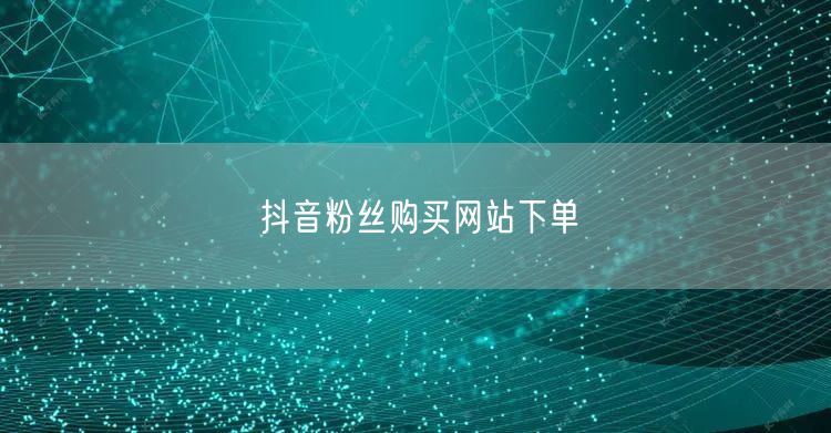 抖音粉丝购买网站下单