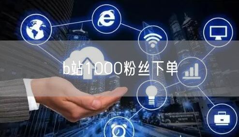 b站1000粉丝下单