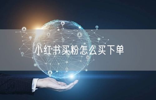 小红书买粉怎么买下单