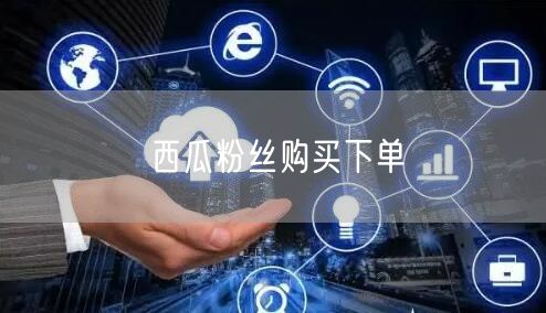 西瓜粉丝购买下单