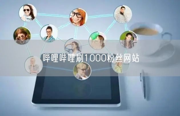 哔哩哔哩刷1000粉丝网站