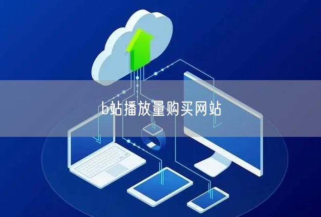 b站播放量购买网站