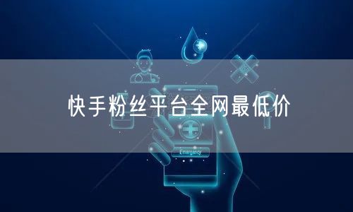 快手粉丝平台全网最低价