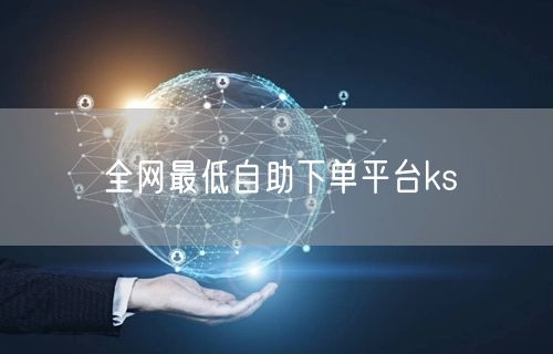 全网最低自助下单平台ks