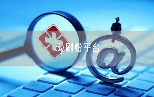 dy刷粉平台