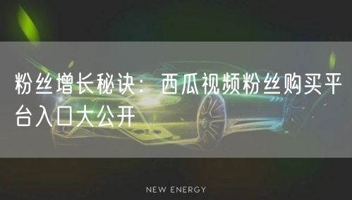 粉丝增长秘诀：西瓜视频粉丝购买平台入口大公开