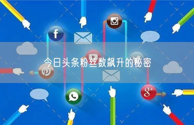 今日头条粉丝数飙升的秘密