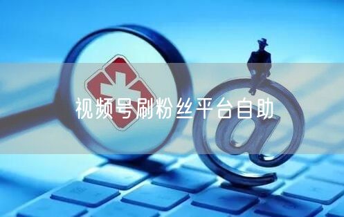 视频号刷粉丝平台自助