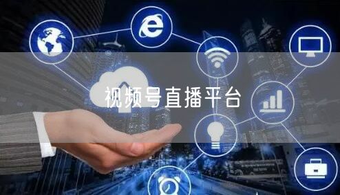 视频号直播平台