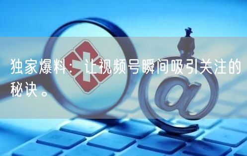 独家爆料：让视频号瞬间吸引关注的秘诀。