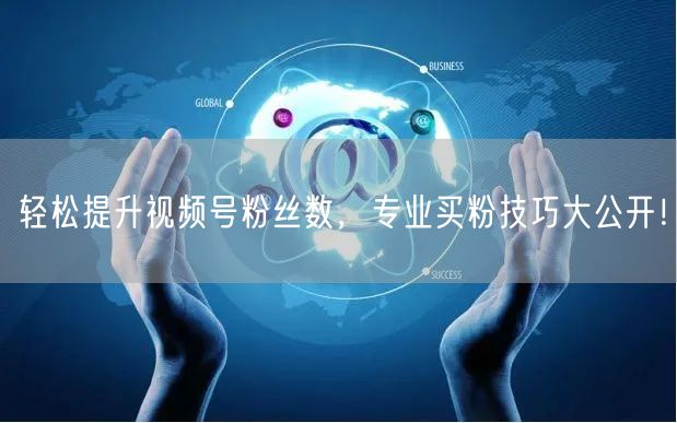 轻松提升视频号粉丝数，专业买粉技巧大公开！