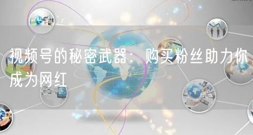 视频号的秘密武器：购买粉丝助力你成为网红