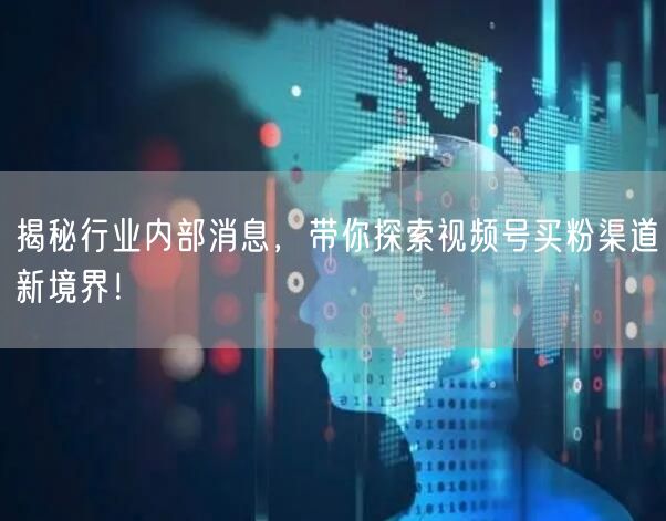 揭秘行业内部消息，带你探索视频号买粉渠道新境界！