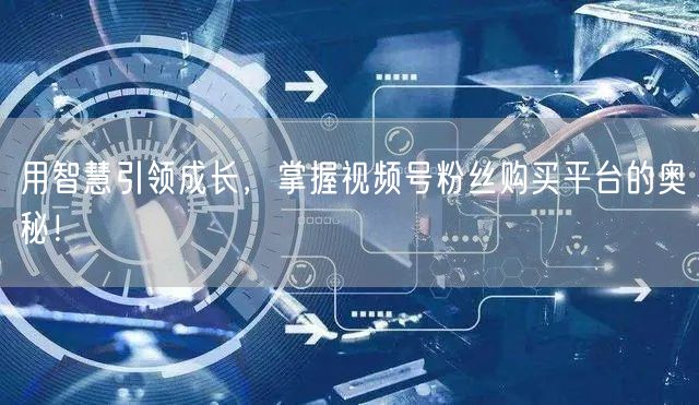 用智慧引领成长，掌握视频号粉丝购买平台的奥秘！