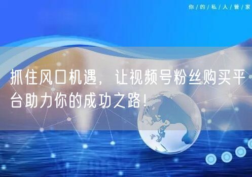 抓住风口机遇，让视频号粉丝购买平台助力你的成功之路！