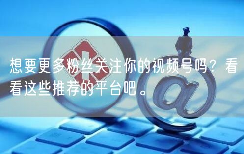 想要更多粉丝关注你的视频号吗？看看这些推荐的平台吧。