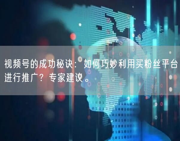 视频号的成功秘诀：如何巧妙利用买粉丝平台进行推广？专家建议。