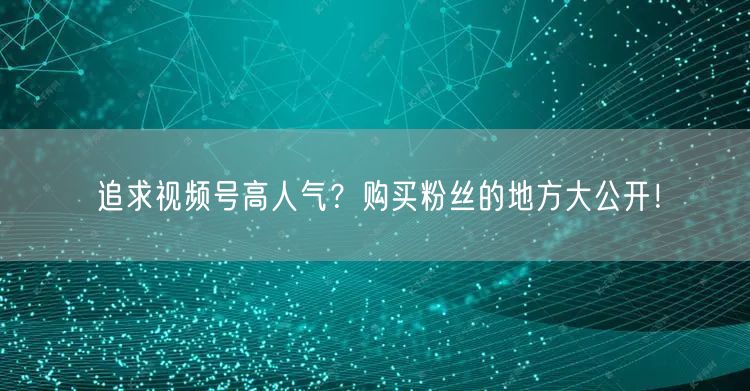 追求视频号高人气？购买粉丝的地方大公开！