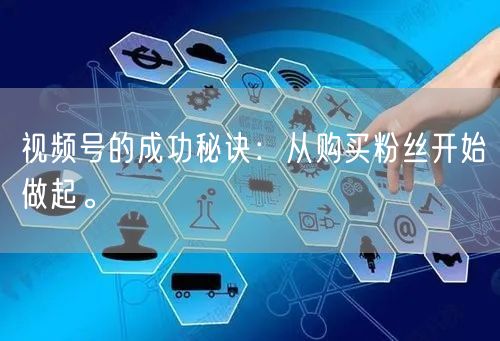 视频号的成功秘诀：从购买粉丝开始做起。