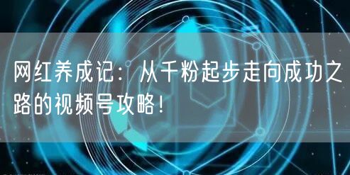 网红养成记：从千粉起步走向成功之路的视频号攻略！