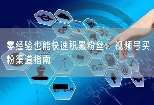零经验也能快速积累粉丝：视频号买粉渠道指南