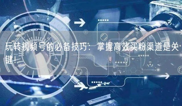 玩转视频号的必备技巧：掌握高效买粉渠道是关键！