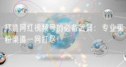 打造网红视频号的必备武器：专业买粉渠道一网打尽！